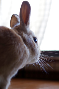 20141214-05.jpg