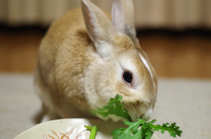 20141218-01.jpg