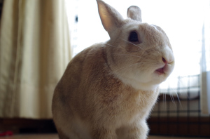 20141225-07.jpg